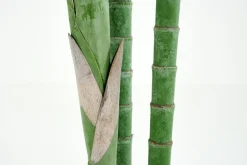 Jeux De Société Et Lifestyle|Décoration<Flamant ARECA PALM, plante Vert