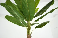 Jeux De Société Et Lifestyle|Décoration<Flamant BANANA TREE, plante Vert
