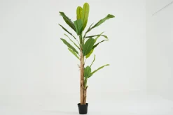 Jeux De Société Et Lifestyle|Décoration<Flamant BANANA TREE, plante Vert