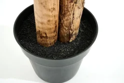 Jeux De Société Et Lifestyle|Décoration<Flamant BANANA TREE, plante Vert