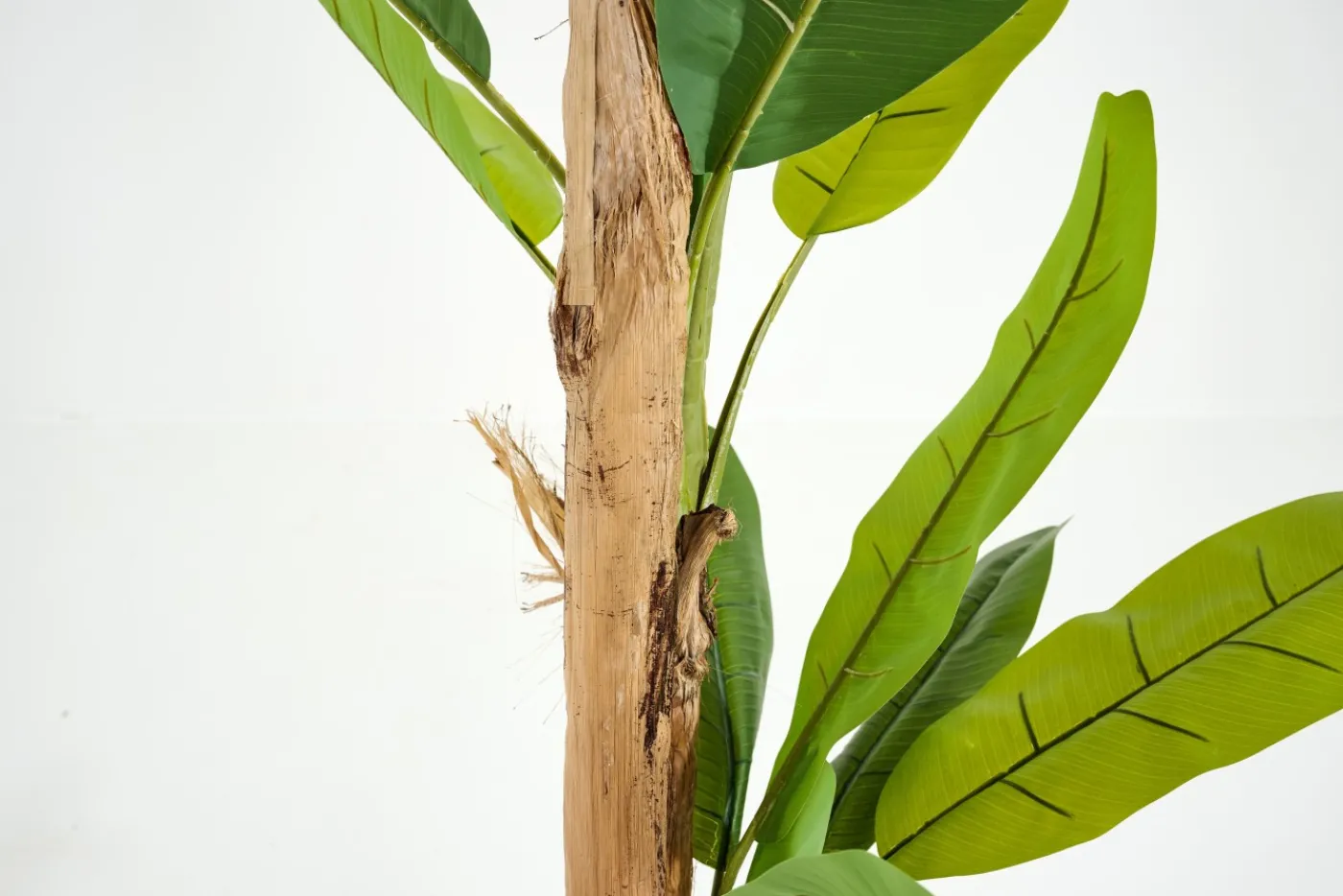 Jeux De Société Et Lifestyle|Décoration<Flamant BANANA TREE, plante Vert