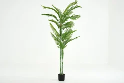Jeux De Société Et Lifestyle|Décoration<Flamant BETEL PALM, plante Vert