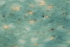 Assiettes, Plats Et Bols|Assiettes,Plats Et Bols<Flamant CRESTA, plateau, céramique, turquoise, ovale Mixte