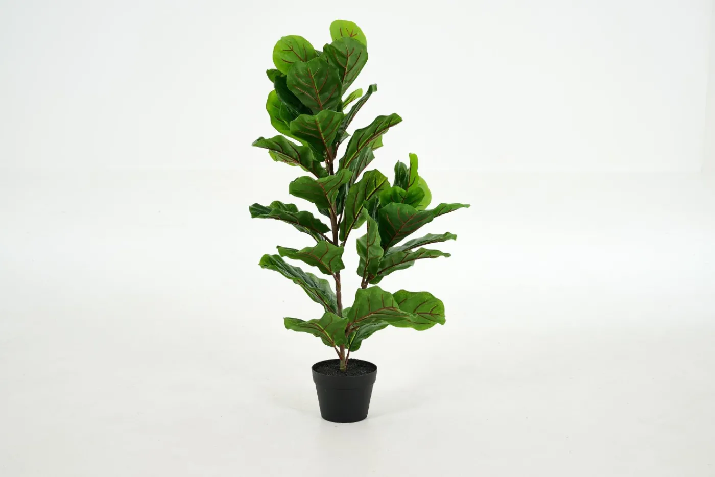 Jeux De Société Et Lifestyle|Décoration<Flamant FIDDLE LEAF FIG, plante Vert