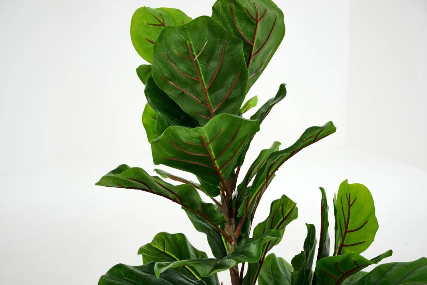 Jeux De Société Et Lifestyle|Décoration<Flamant FIDDLE LEAF FIG, plante Vert