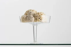 Plats|Plats<Flamant KIRA, coupe, sur pied, verre, S Transparent