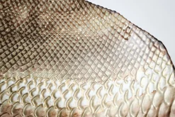 Plats|Plats<Flamant LENNOX, coupe, verre, , L Brun
