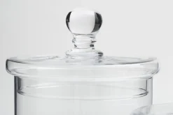 Bonbonnières|Bonbonnières<Flamant LIONI, bonbonnière, verre, S Transparent