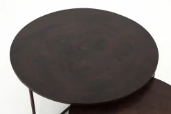 Tables De Salon|Tables De Salon<Flamant MERIDA, table basse, métal, ronde, set de 2 Brun
