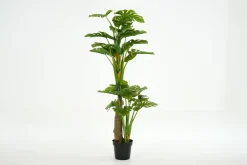 Jeux De Société Et Lifestyle|Décoration<Flamant MONSTERA PLANT, plante Vert