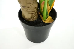 Jeux De Société Et Lifestyle|Décoration<Flamant MONSTERA PLANT, plante Vert