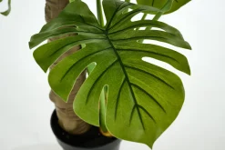 Jeux De Société Et Lifestyle|Décoration<Flamant MONSTERA PLANT, plante Vert