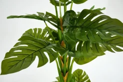Jeux De Société Et Lifestyle|Décoration<Flamant MONSTERA PLANT, plante Vert